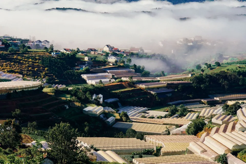 Khu nhà lưới, nhà màng